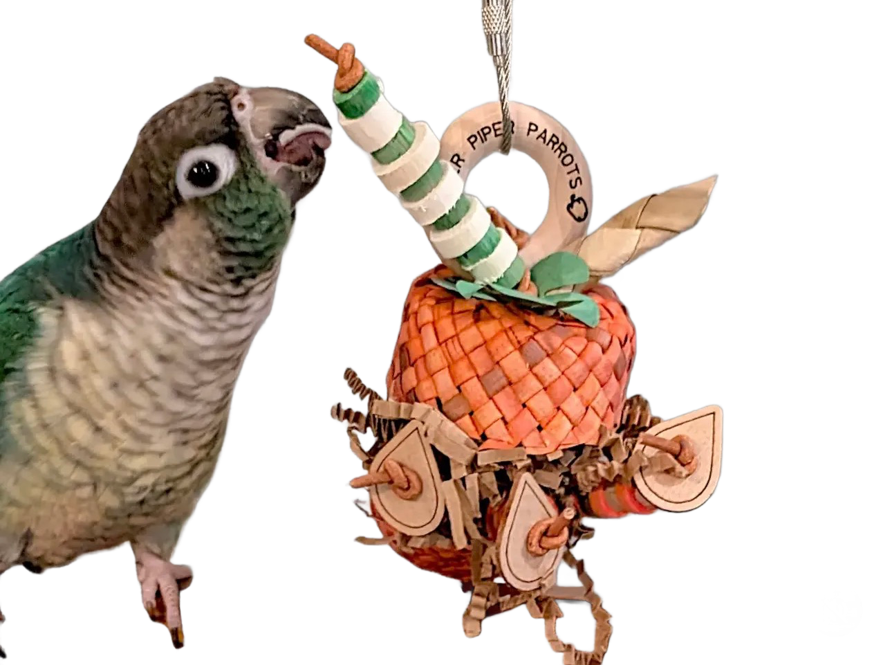 Stuffed Foraging Pumpkin Toy Bitty Size by Peter Piper Parrots - Limited Edition