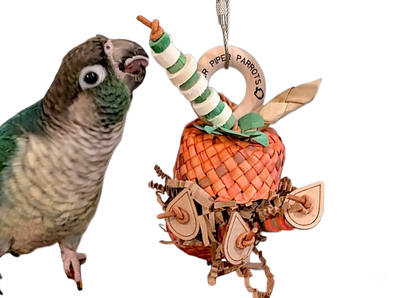 Stuffed Foraging Pumpkin Toy Bitty Size by Peter Piper Parrots - Limited Edition
