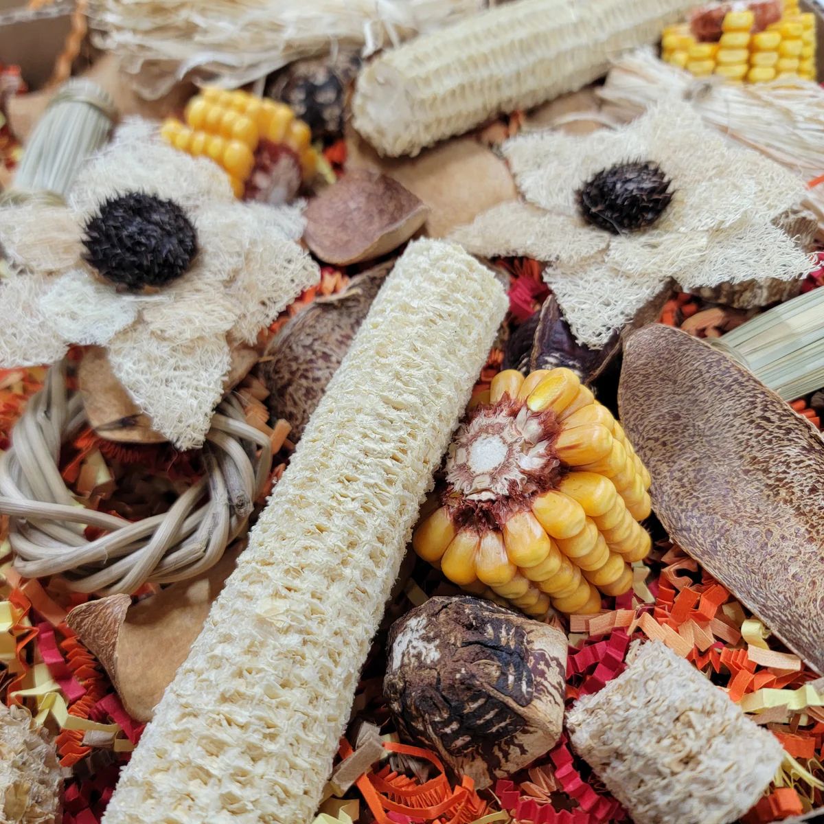 Autumn Harvest Edition Foraging Flat by Cheep Thrills Bird Toys