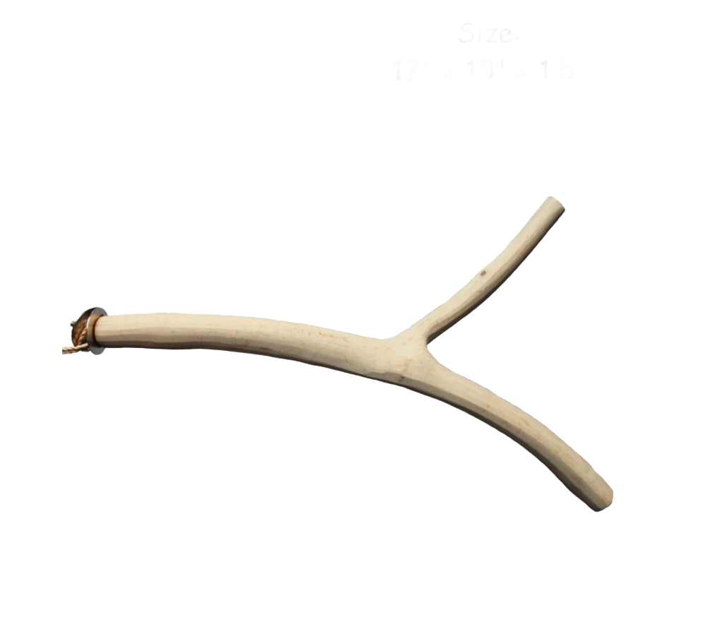 Coffeewood Perch Medium 1/2 - 3/4" diameter x 17" length by Planet Pleasures
