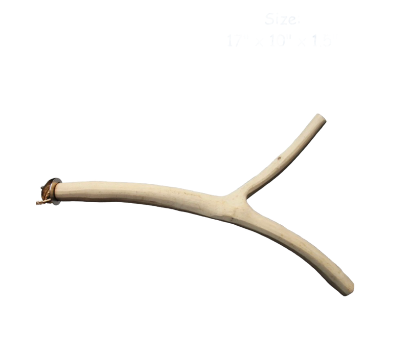 Coffeewood Perch Medium 1/2 - 3/4" diameter x 17" length by Planet Pleasures