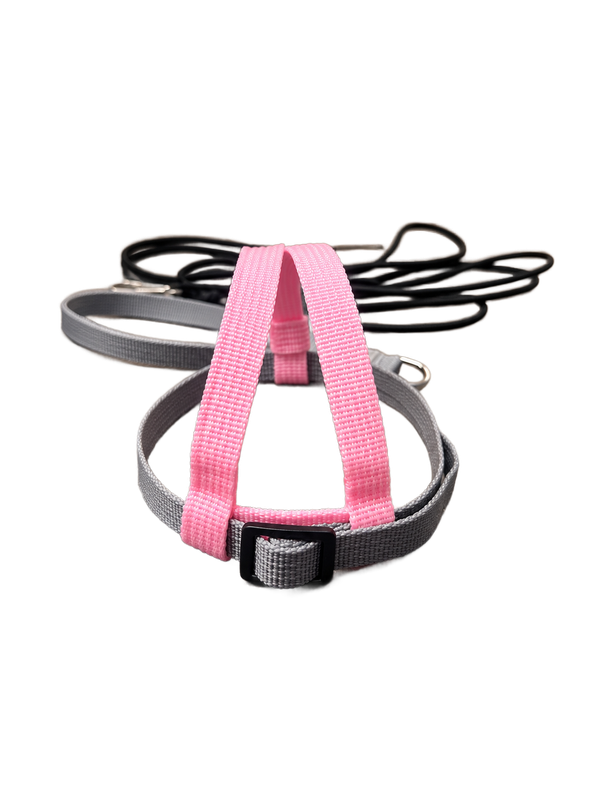JMK Harness and Leash - Color Pink with Grey - Size Small: 190-425 grams: Timneh Grey, Pionus, Galah, Yellow Nape Amazon
