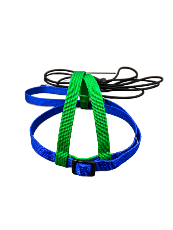 JMK Harness and Leash - Colors Dark Green with Dark Blue, Size Medium: 425-600 grams: Eclectus, Med. Macaws (Severee, Red Fronted), Lg Amazons (Double Yellow, Yellow Nape), Umbrella, Congo Grey