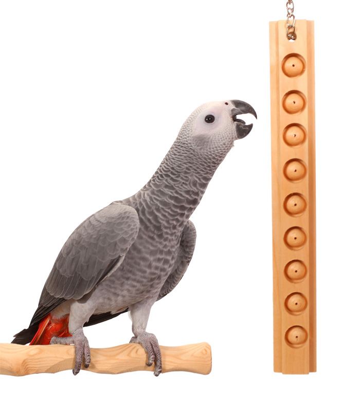 Parrot Bites Berries Medium for Small and Medium Birds by the Parrot Wizard