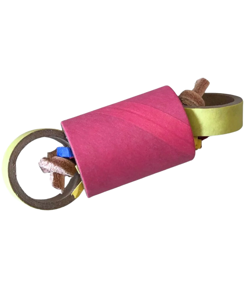 Foraging Bagel Foot Toy for Medium Birds by PDS Parrot Toys