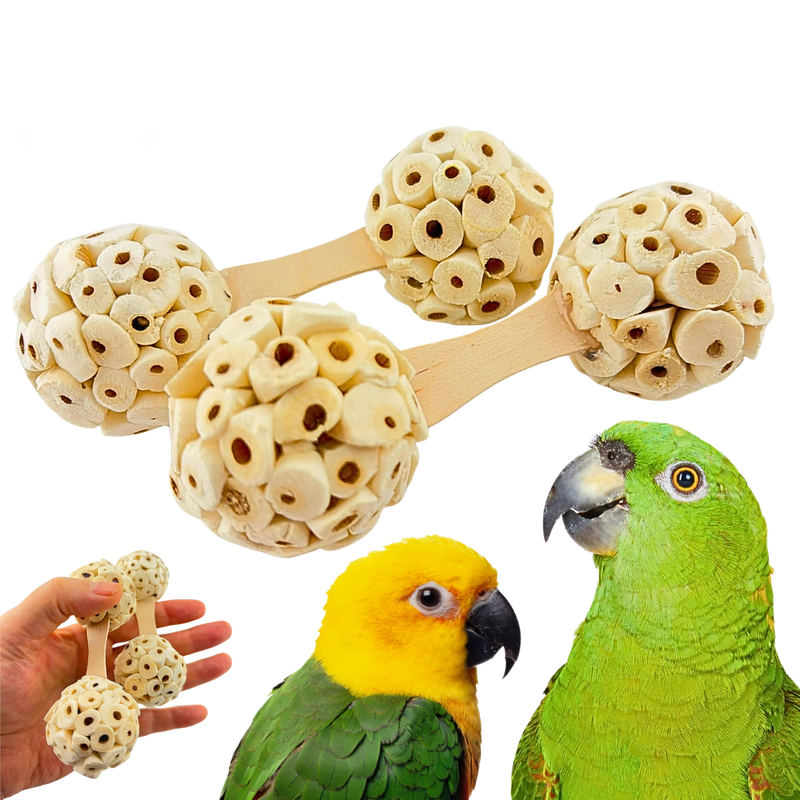 2 Pack Sola Natural Dumbell by Bonka Bird Toys