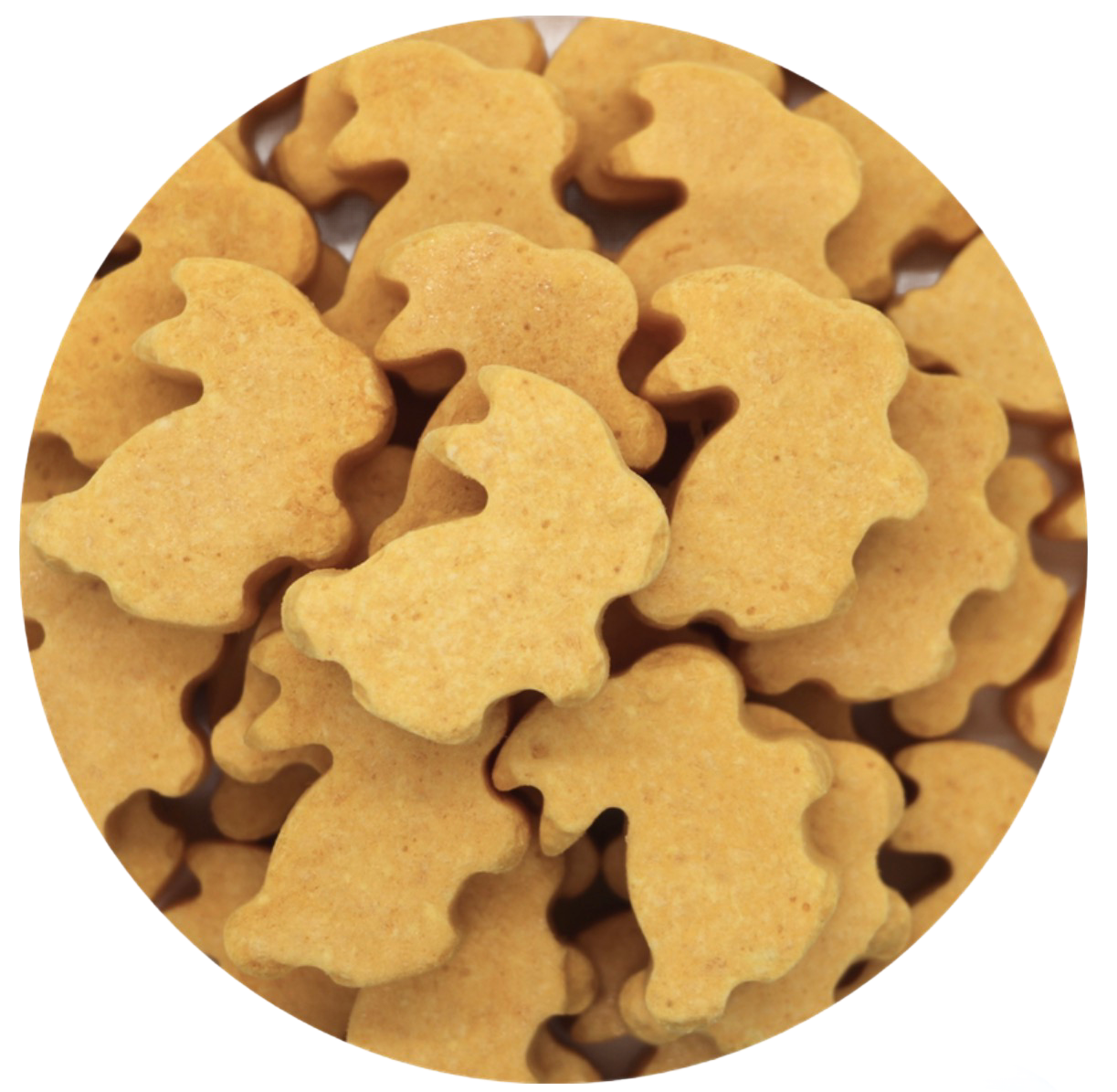 Bunny Nuggets 30 Count Freeze Dried for all Parrots by myParrotopia®