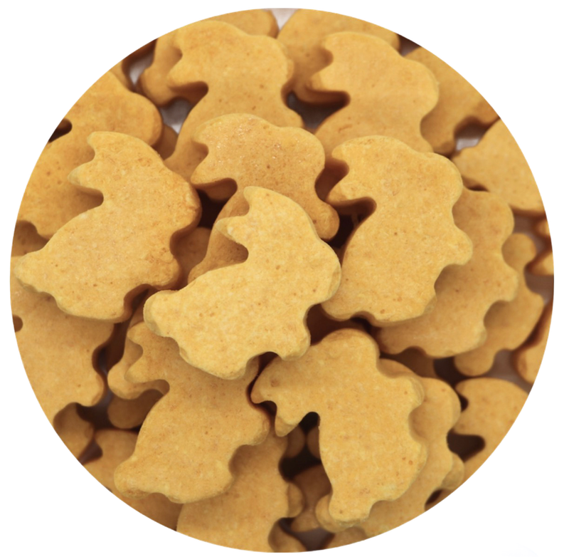 Bunny Nuggets 30 Count Freeze Dried for all Parrots by myParrotopia®