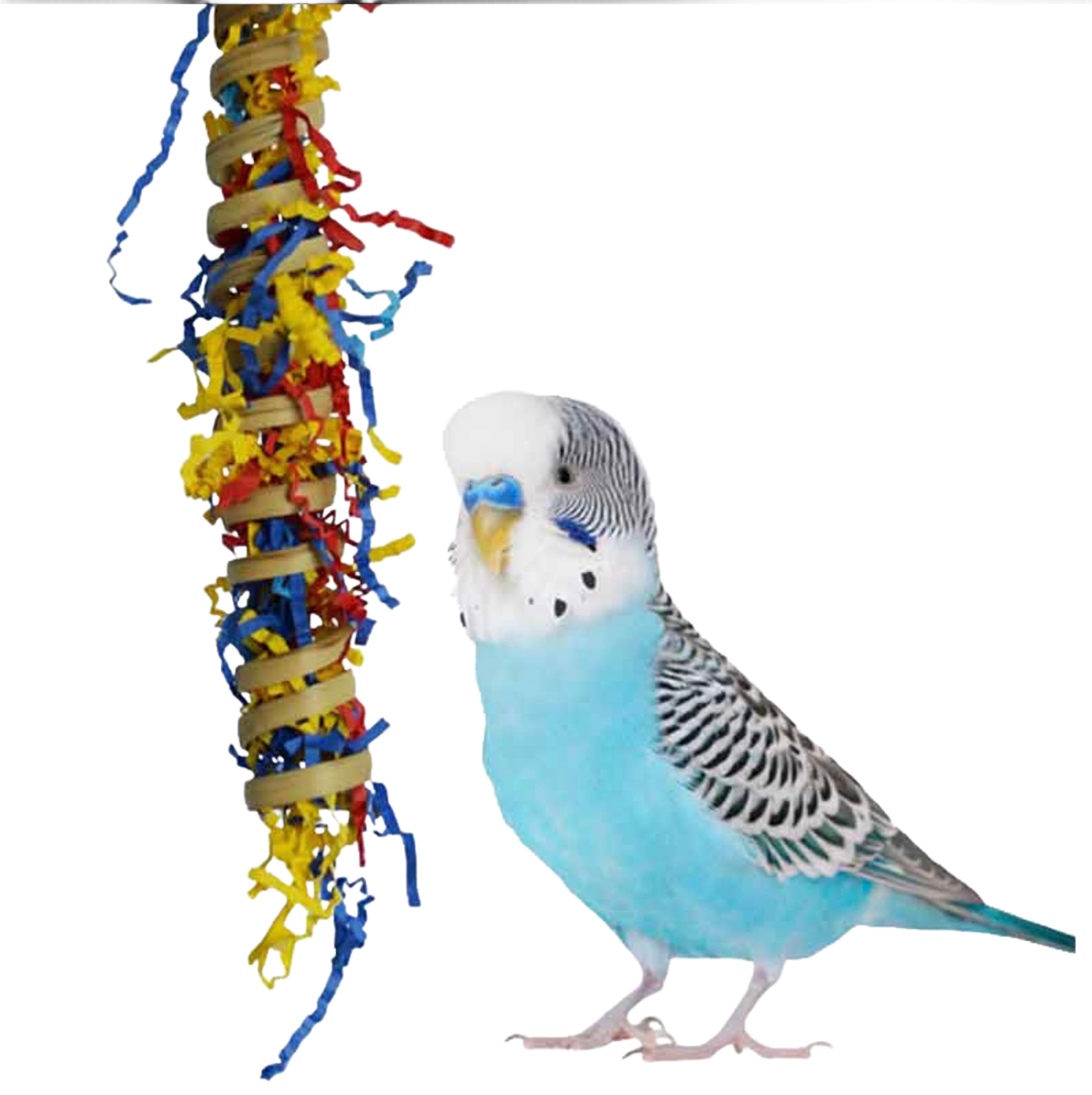 Fiesta Millet Holder for Small Birds by Super Bird Creations