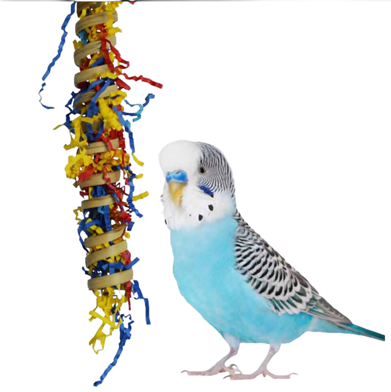 Fiesta Millet Holder for Small Birds by Super Bird Creations