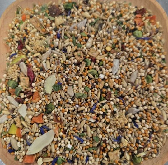 Delectable! 15 Lb BULK Dry Blend Custom Blending without Safflower 100% Natural Whole Foods for all Small and Medium Size Birds by China Prairie
