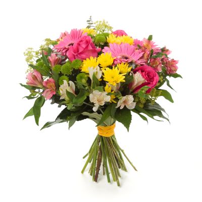 Serenity Blooms