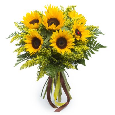 Simple Sunshine