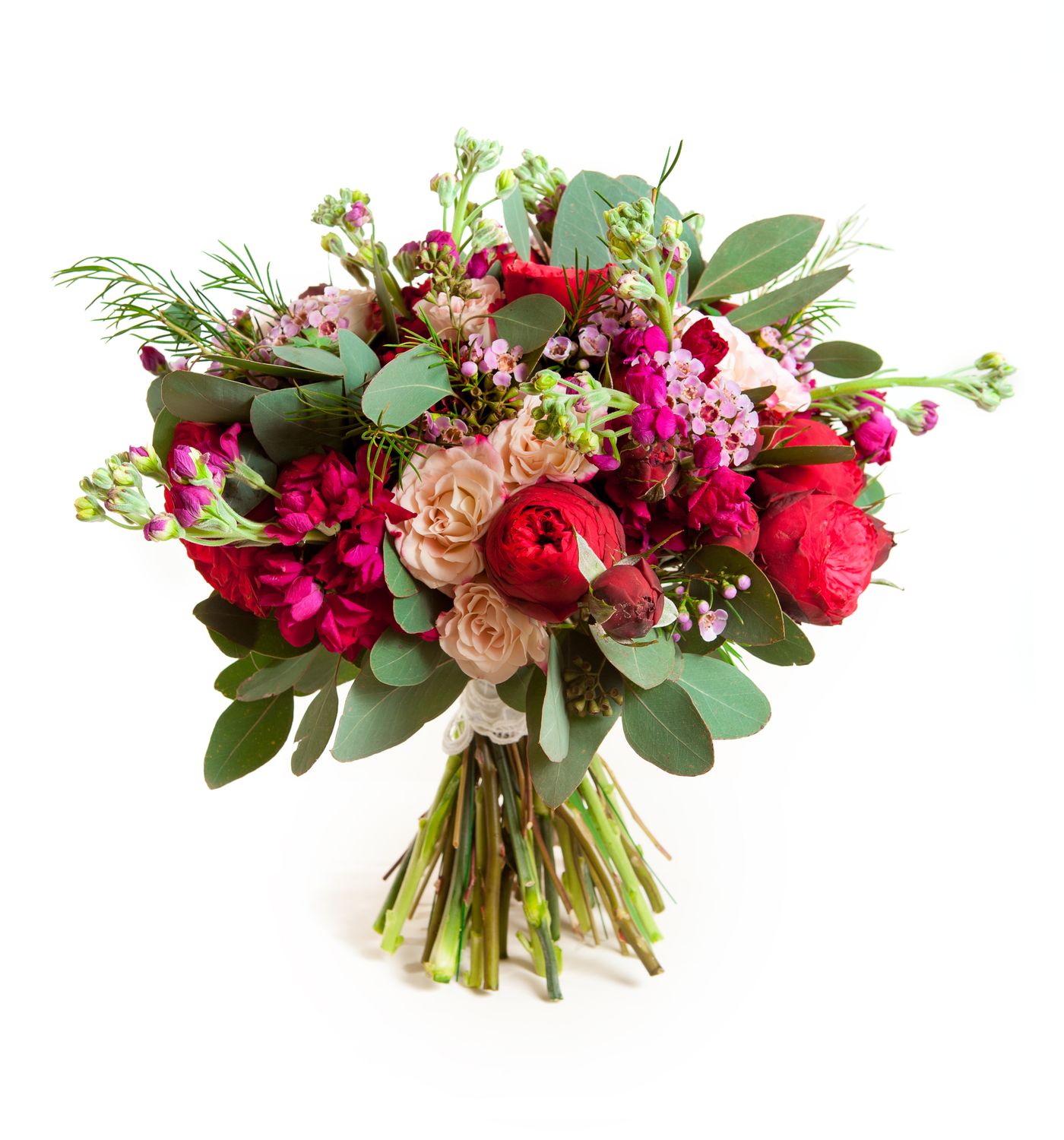 Magenta Blooms