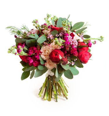 Magenta Blooms