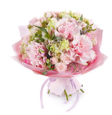 Floral Fusion