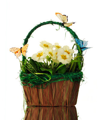 Spring Garden