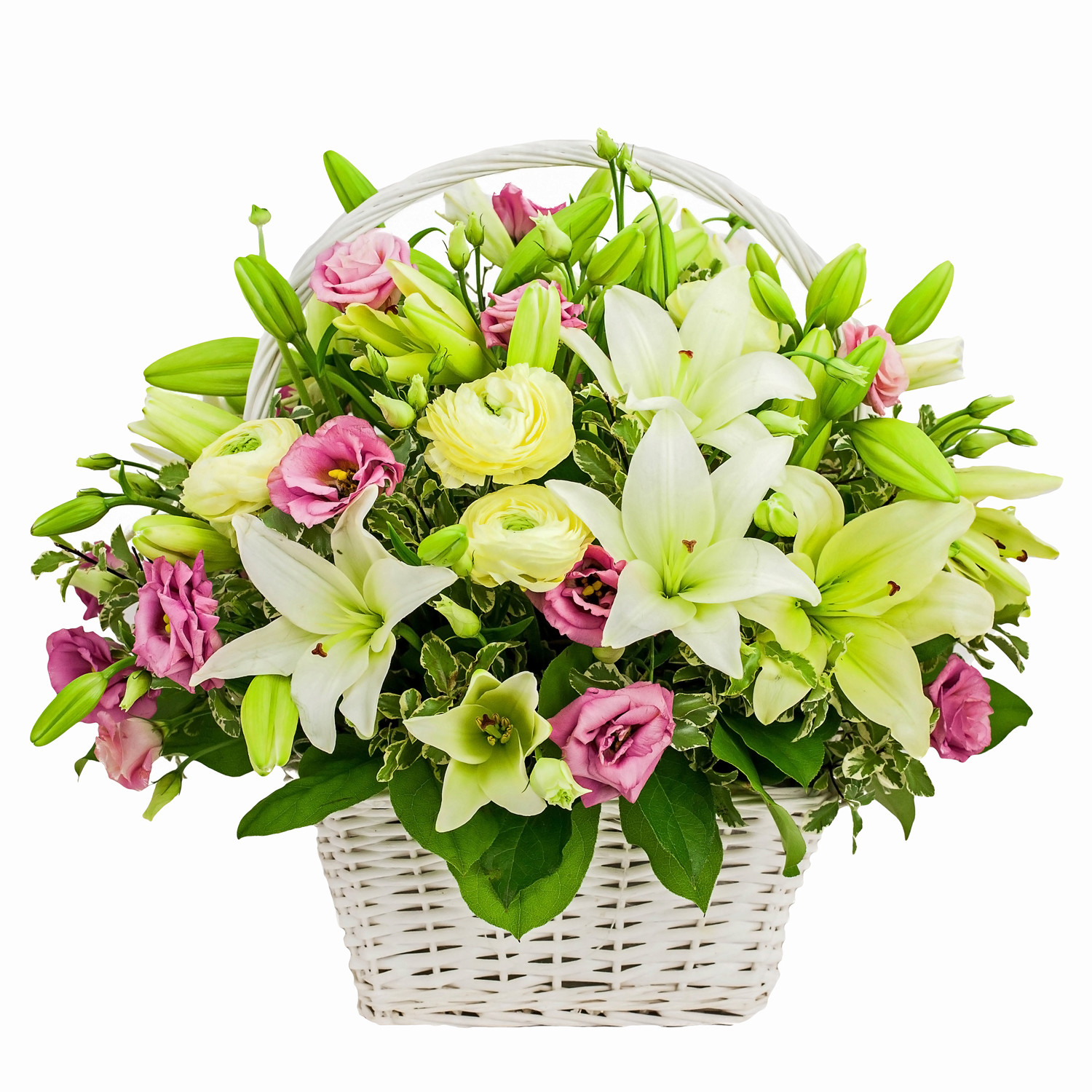 Basket of Beauty