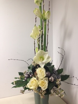 Christmas Amaryllis Arrangement