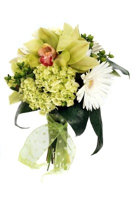 Hydrangeas &amp; Orchids
