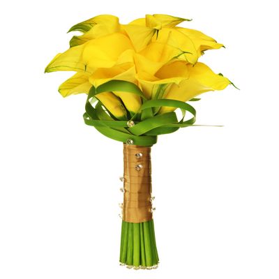 Calla Lilly