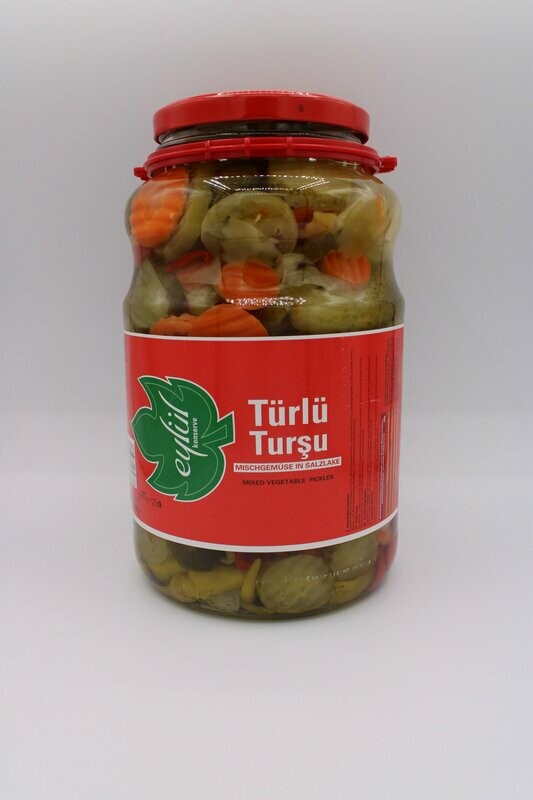 Eylül Türlü Tursu 2650 g