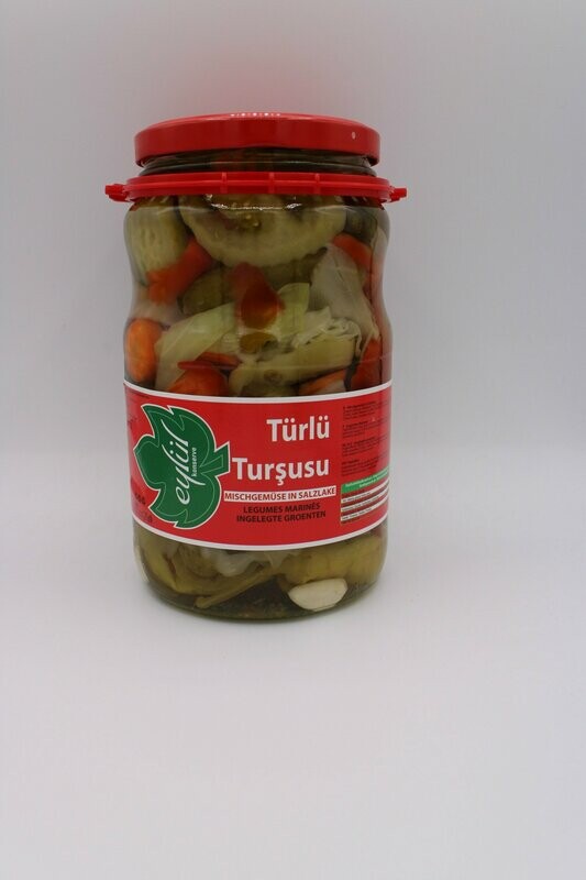 Eylül Türlü Tursu 1550 g