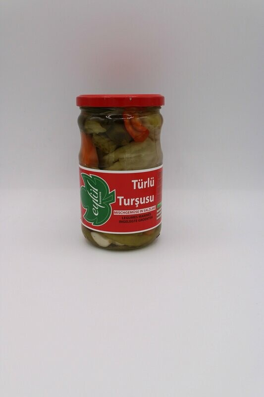 Eylül Türlü Tursu 610 g
