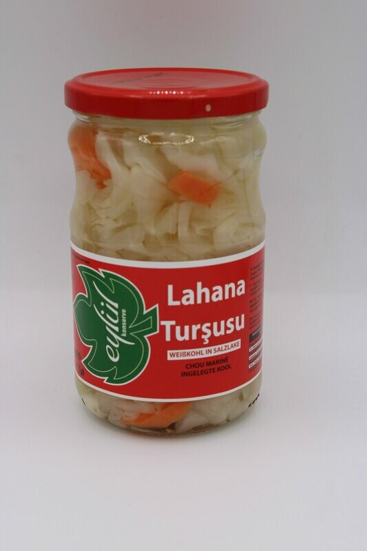 Eylül Lahana Tursu 660 cc