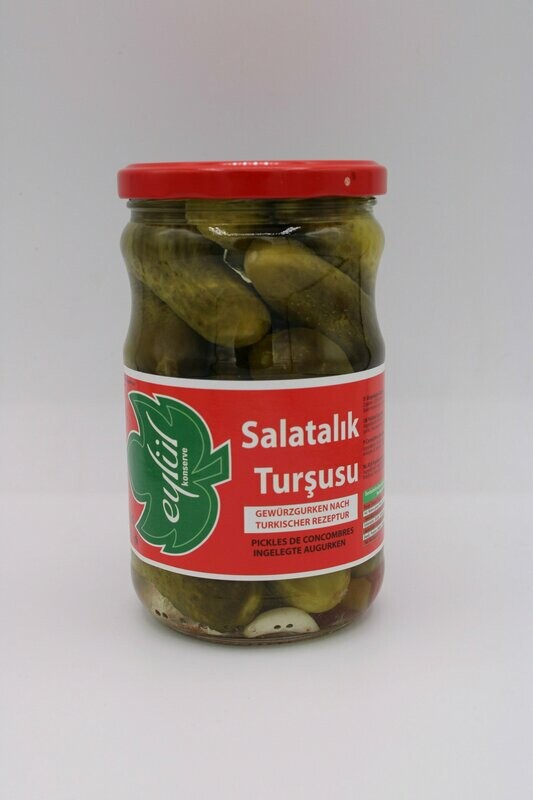 Eylül Salatalik Tursu Türk Tipi 660 g