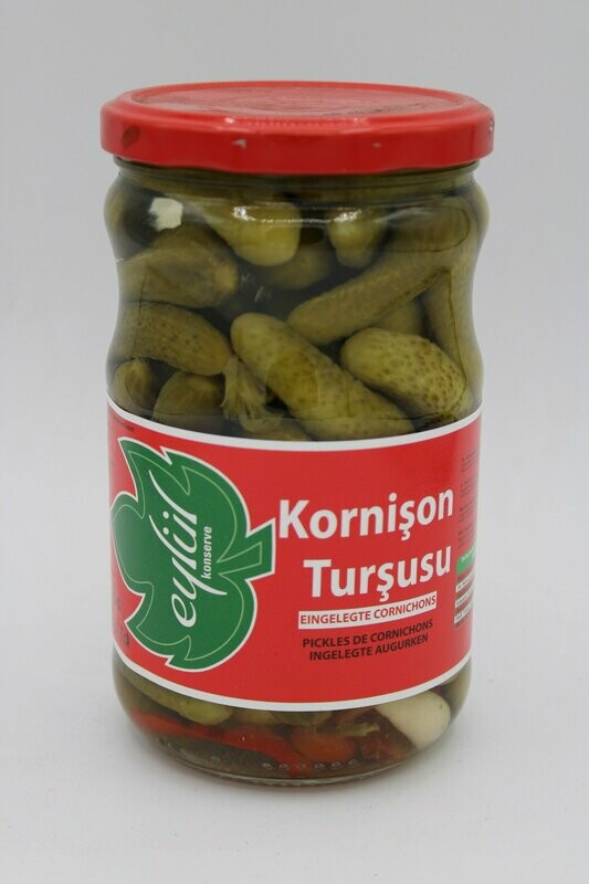 Eylül Kornison Tursu Türk Tipi 580 cc