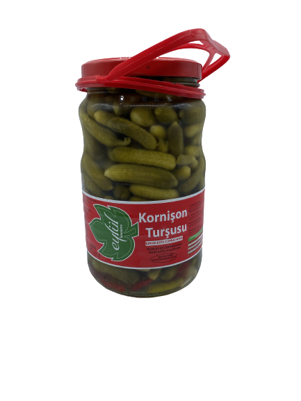 Eylül Mini Salatalik 1700 cc