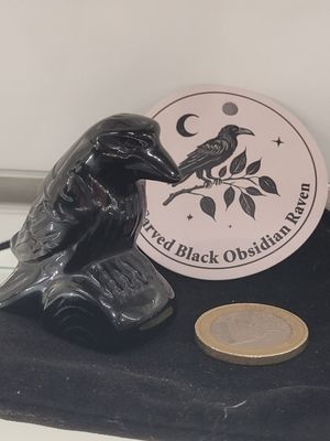 Corbeau obsidienne