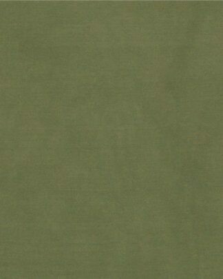 Sage Solid Silk Scarf