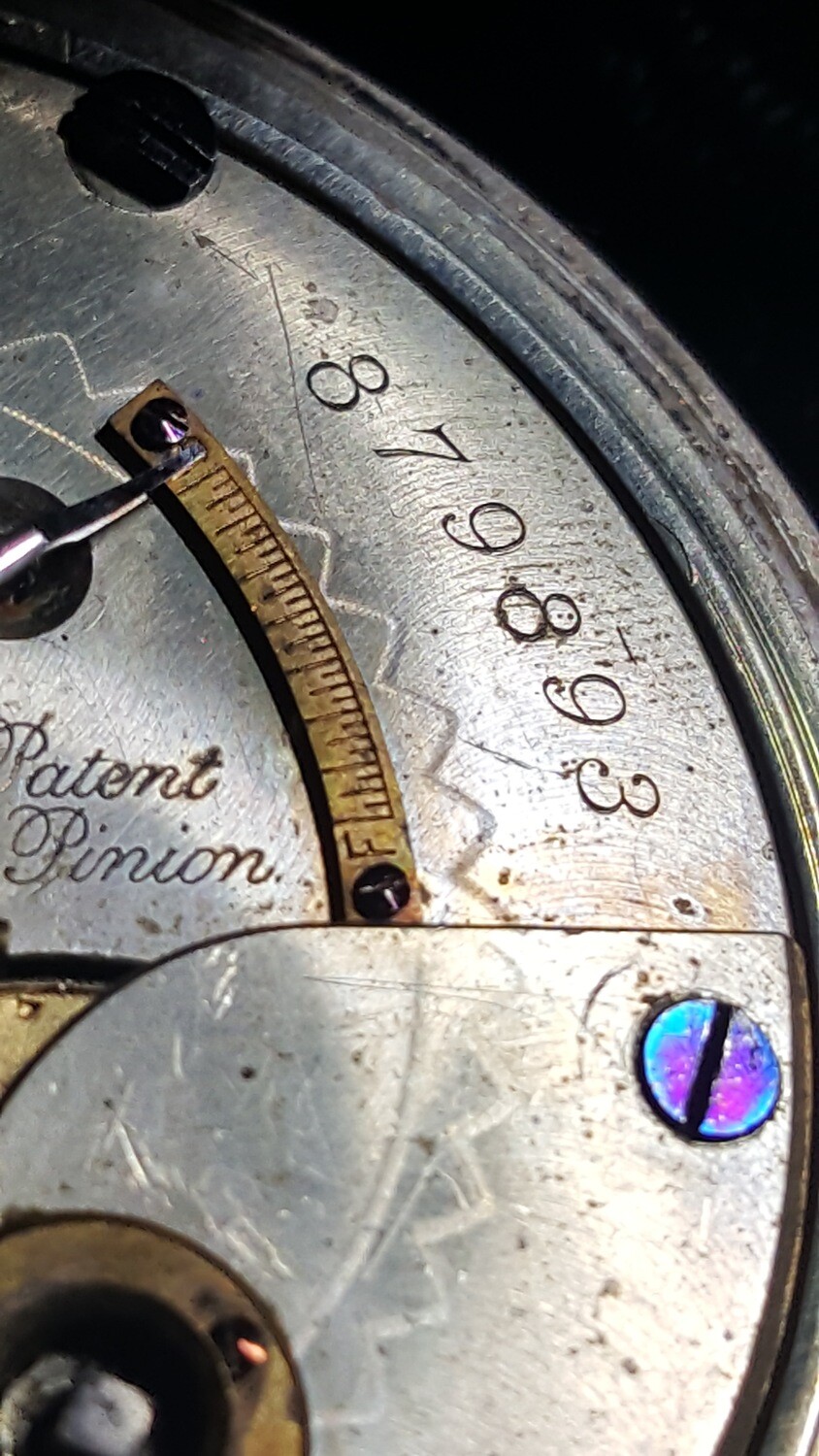 Elgin National Watch Company 1899 Pocket Watch