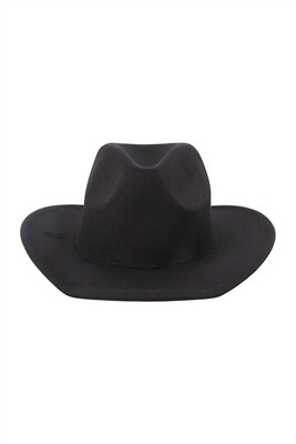 FELT BRIM FEDORA