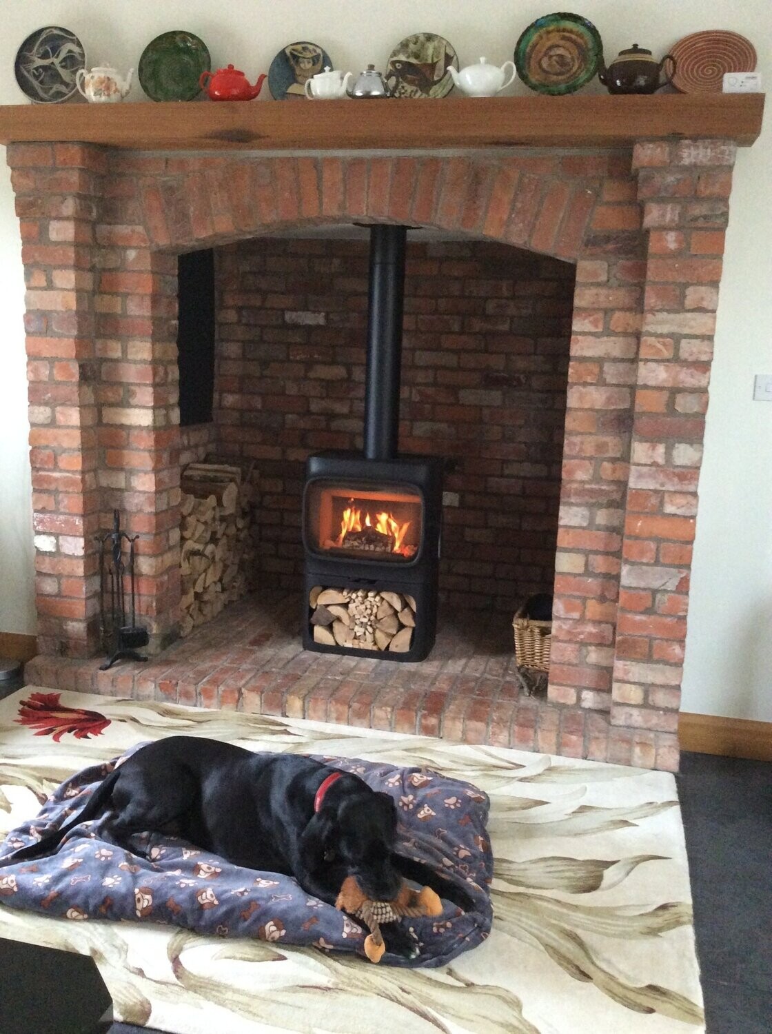 Jotul F305 with log base