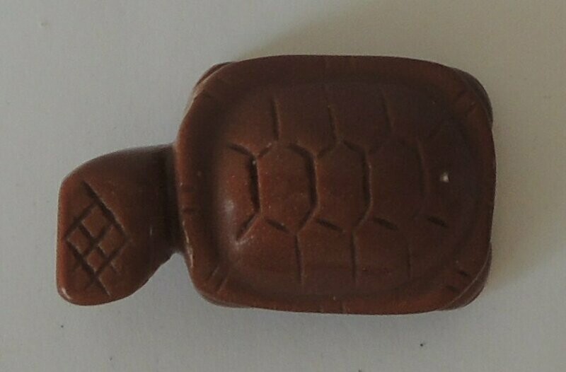 Schildkröte Goldfluss