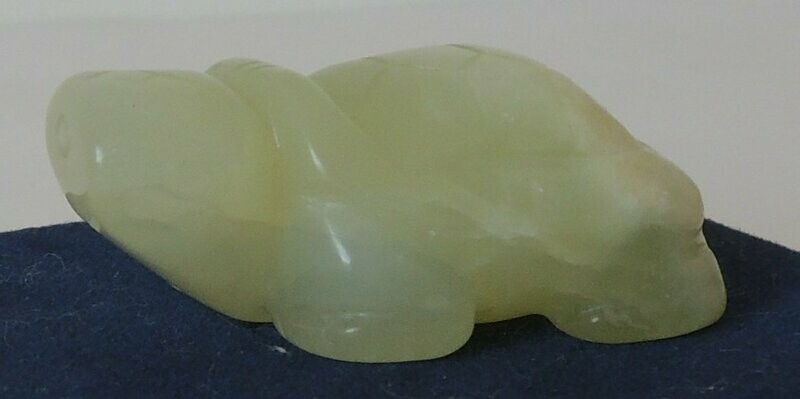 Schildkröte Onyx