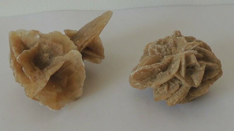 Sandrose klein