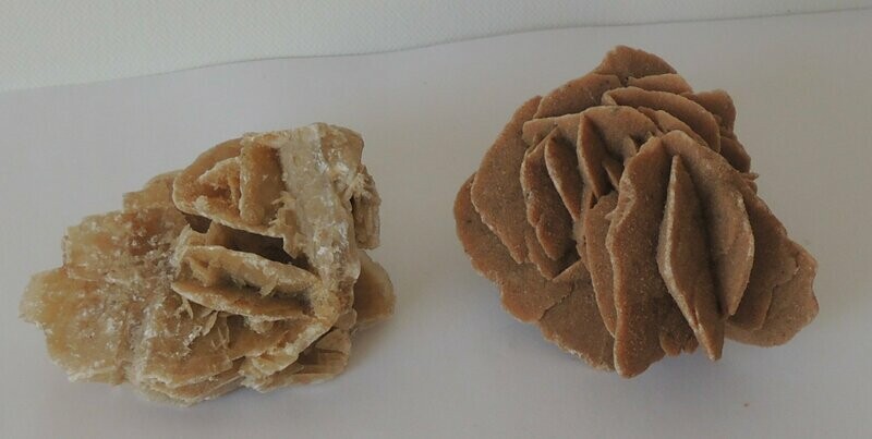 Sandrose mittel