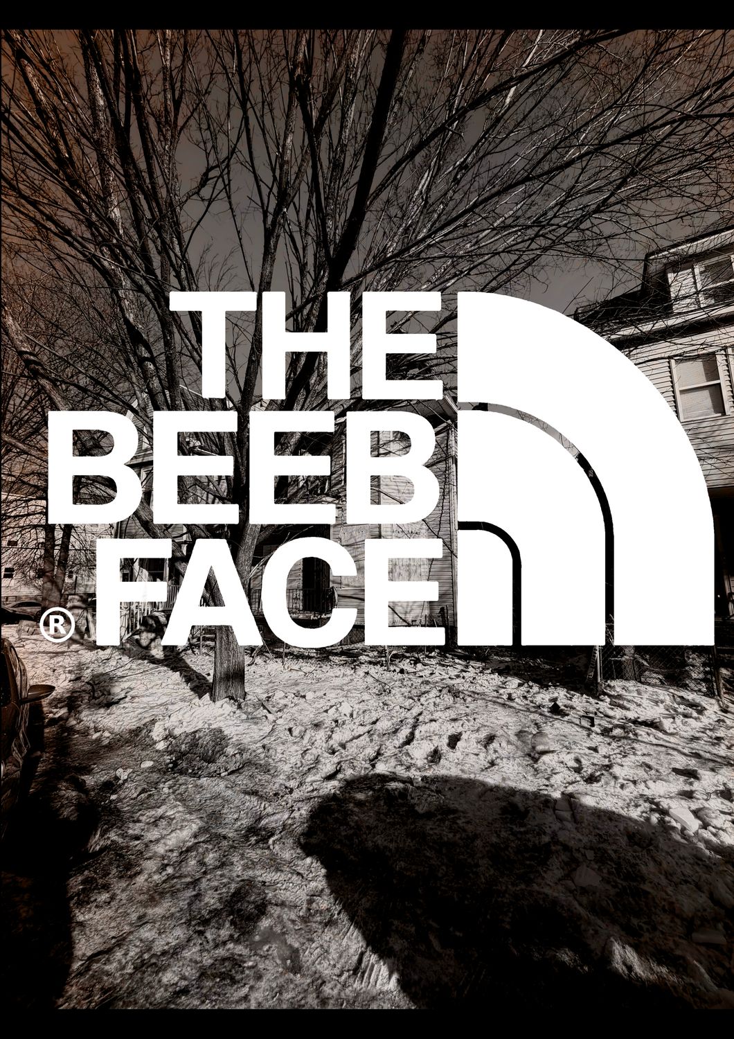 TheBeebFace