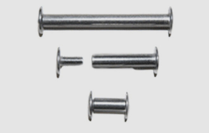 Screws- Assorted Sizes