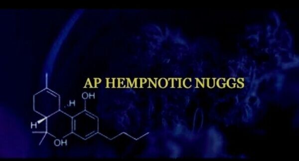 AP HEMPNOTIC NUGGS / Hemp Ecommerce Dispensary
