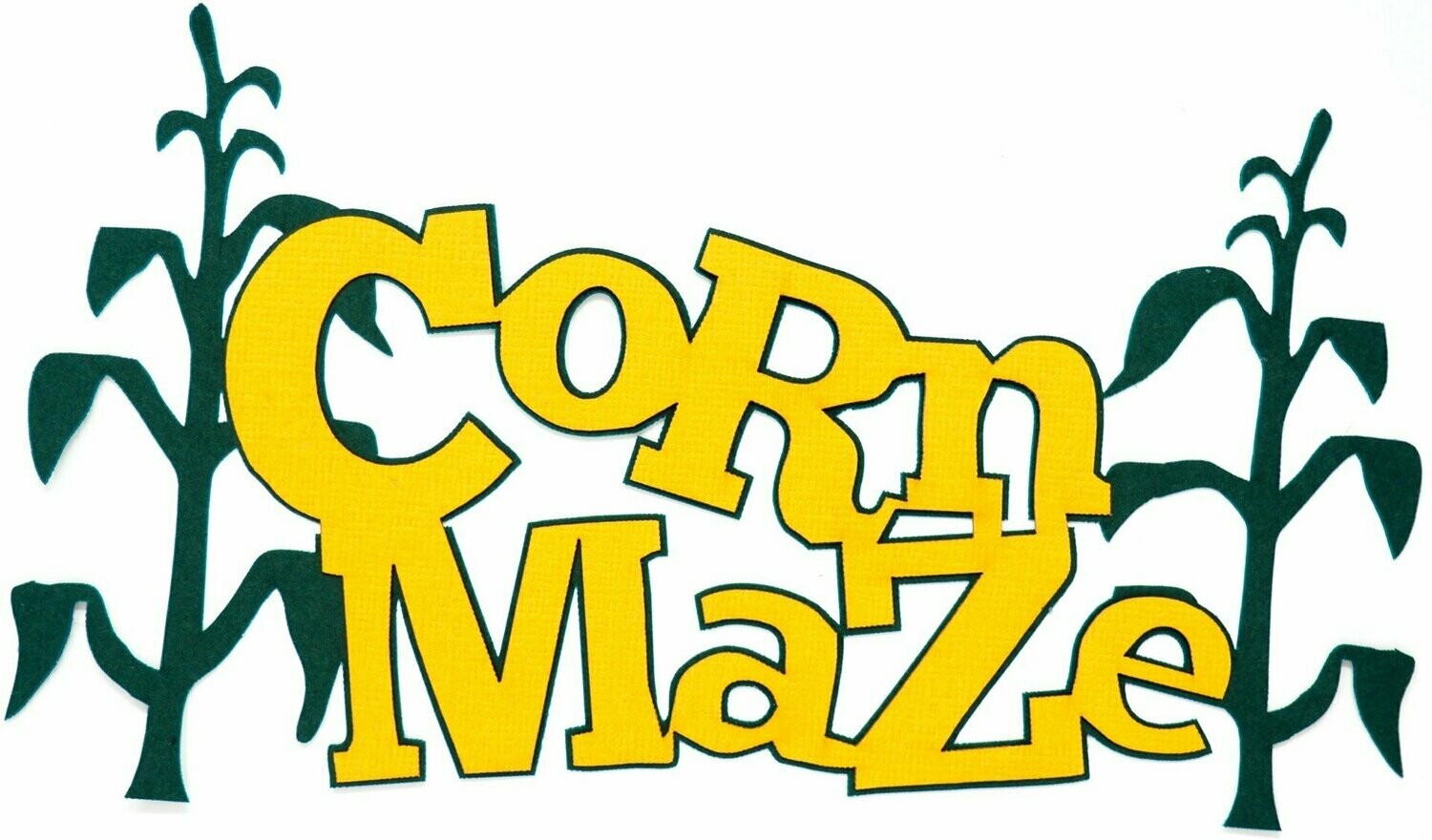 Corn Maze