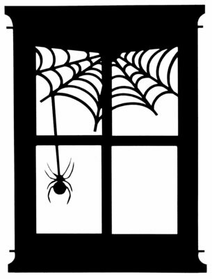 Window with Spider