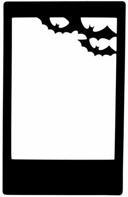 Polaroid Bats
