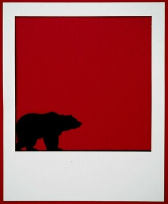 Polaroid Bear