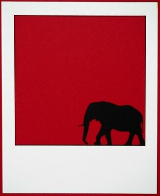 Polaroid Elephant