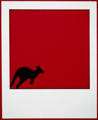 Polaroid Kangaroo